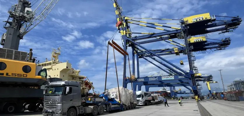 Proje Taşımacılığı